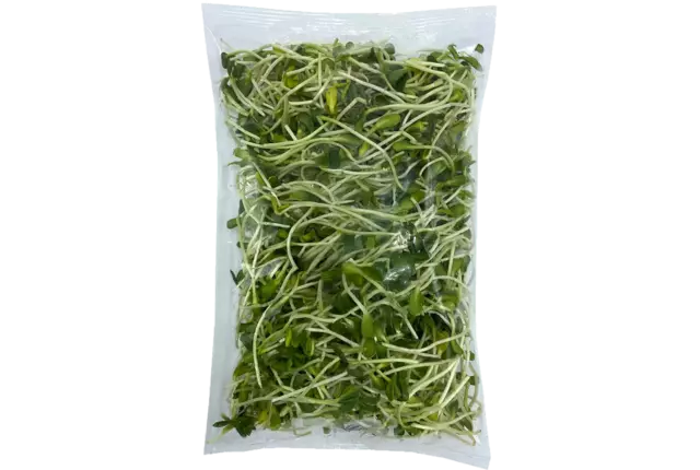 Zonnebloem kiemen 250gr stuk